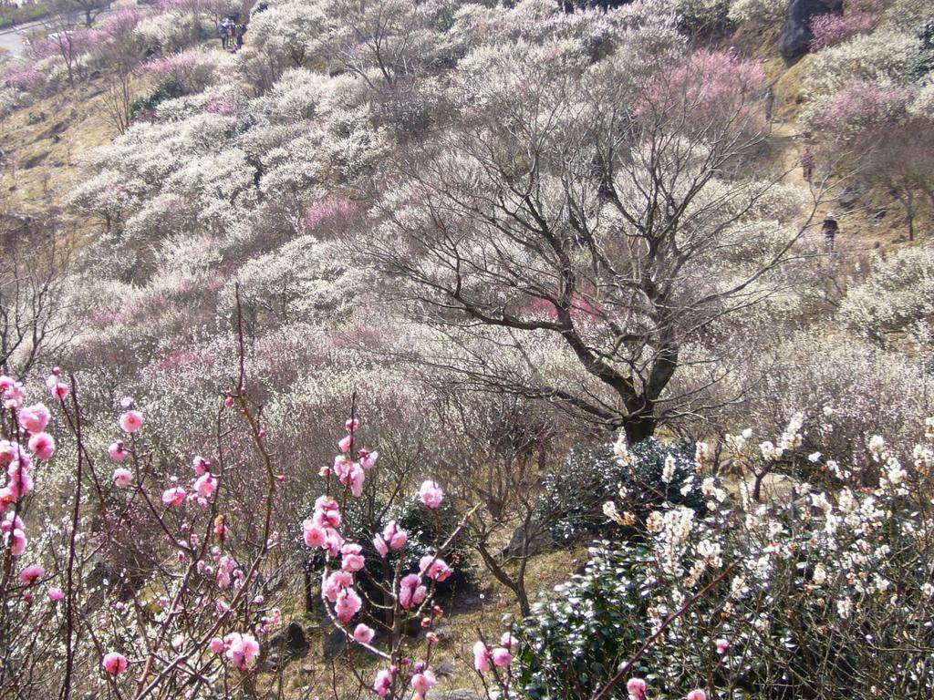 Hotel Resorpia Atami Luaran gambar